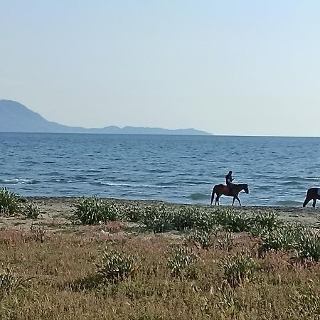 Apartament Pozzuoli-Licola Mare Zewnętrze zdjęcie